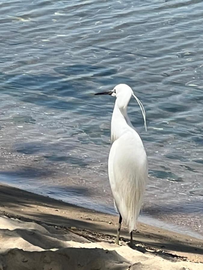 Kallithea Nea Iraklitsa 외부 사진